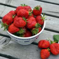 Fraises